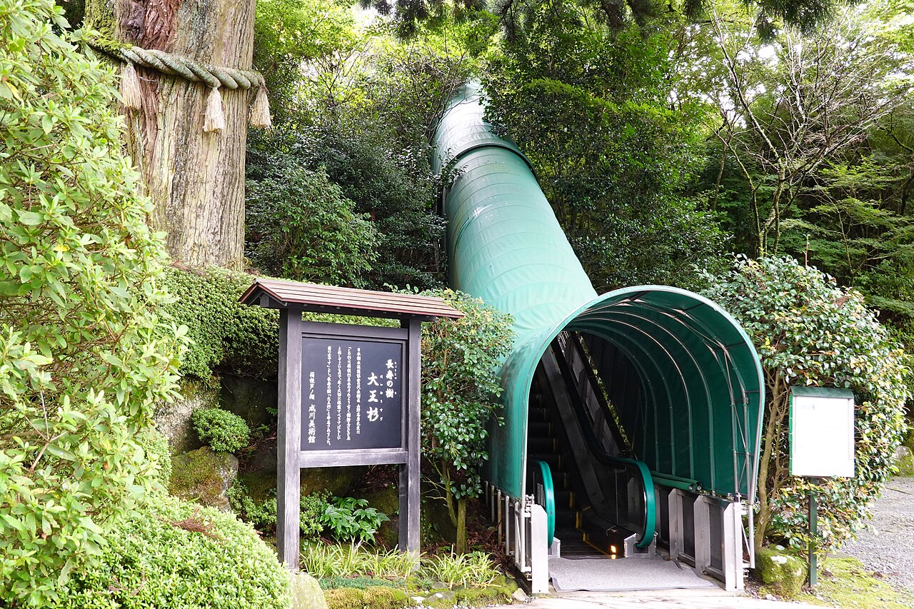 成川美术馆 参考图 1